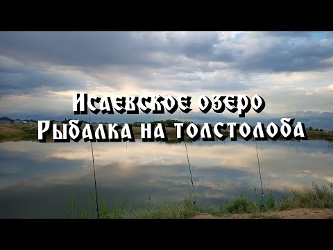 Видео: Рыбалка на толстолоба. Исаевское нижние озеро.