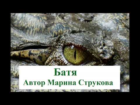 Видео: Батя.  Автор Марина Струкова.  Читает Александр Водяной