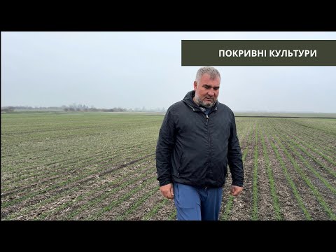 Видео: #297  🚜 Житомирщина: на полі  з покривними культурами та пшеницею з Юрієм Дробязко 