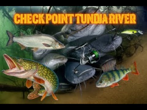 Видео: ИМА ЛИ АКТИВНИ ХИЩНИЦИ В ДЪЖДОВНО ВРЕМЕ ?!?  СМЕСЕН РИБОЛОВ НА ЩУКА,СОМ,КЕФАЛ,КОСТУР И РАСПЕР !