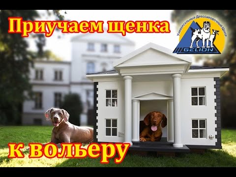 Видео: Урок № 4. Приучение щенка к вольеру. Первые шаги