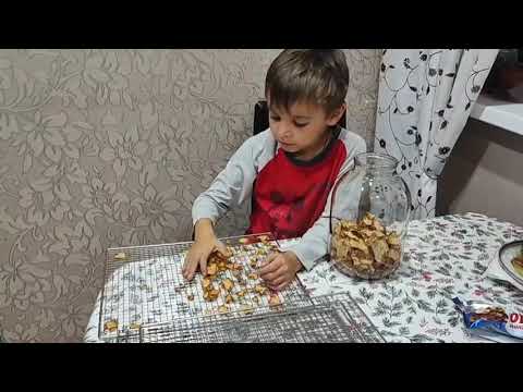 Видео: НАШ ОГОРОД УЖЕ НЕ УЗНАТЬ/ СОБИРАЕМ ПОСЛЕДНИЙ УРОЖАЙ/ ВЕЧНО ЛЕЗЕМ ВПЕРЁД ПАРОВОЗА