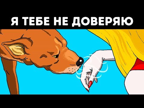 Видео: Ученые Подтвердили, Что Собаки Чуют Плохих Людей