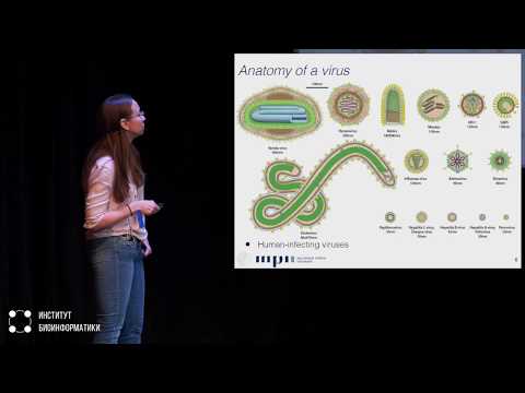 Видео: Изучение адаптации к хозяину и развития резистентности в вирусах ВИЧ и гепатита С