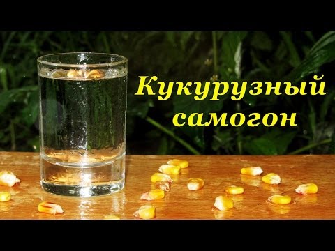 Видео: Самогон из кукурузы, основа для бурбона