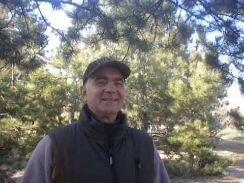 Видео: Вин Чун.  О мотивации и чуть о себе.