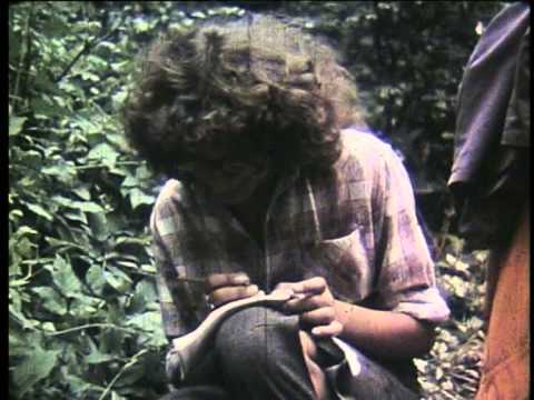 Видео: Тустань - давньоруська карпатська твердиня