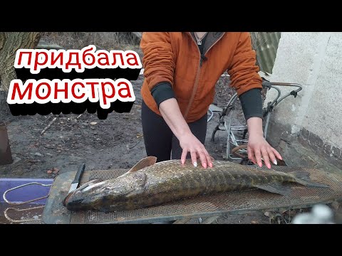Видео: Страшні монстри в селі