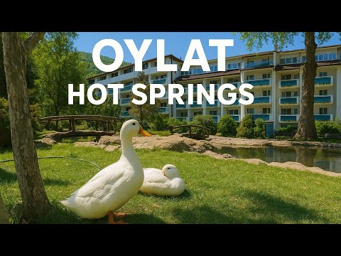 Видео: Ойлатские горячие источники и природа | Пешие прогулки и захватывающие виды с дрона | 4K