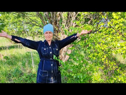 Видео: Берёзовый веник