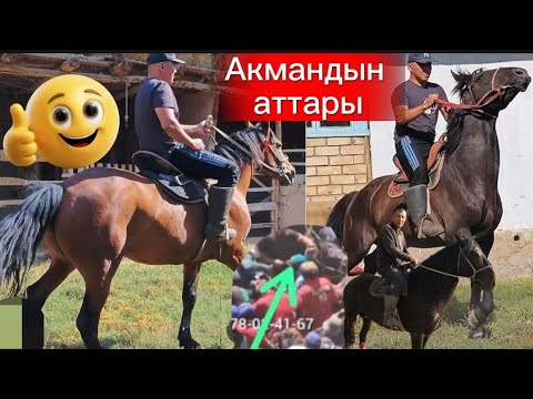 Видео: Абылдын аттары Акмандын аттары