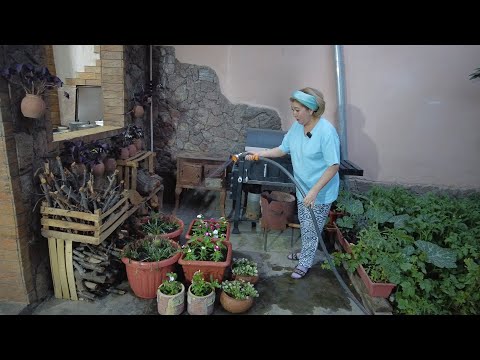 Видео: ПОСАДИЛИ🌸🌼🌺🌻 ЦВЕТЫ. КОФЕ☕ ДРУЖБЫ и ответы 💖на вопросы.
