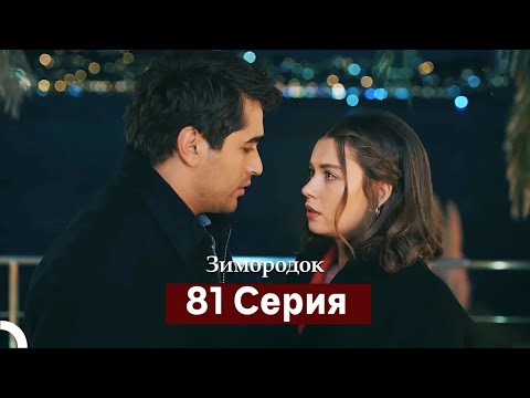 Видео: Зимородок 81 Cерия (Русский дубляж)