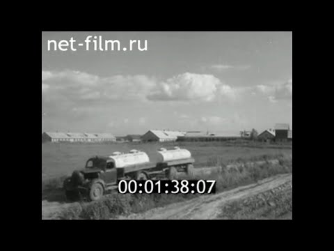 Видео: 1970г. совхоз Гаврилово- Посадский Ивановская обл