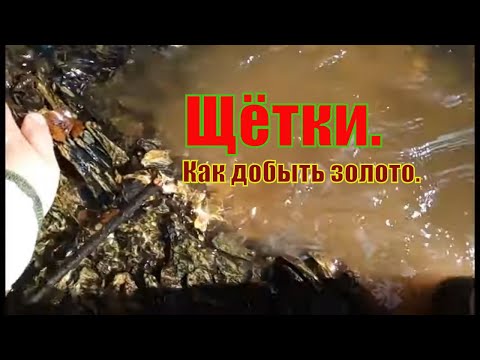 Видео: Золотоносные щётки
