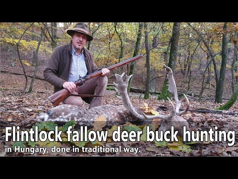 Видео: Охота на лань с кремневым замком в Венгрии