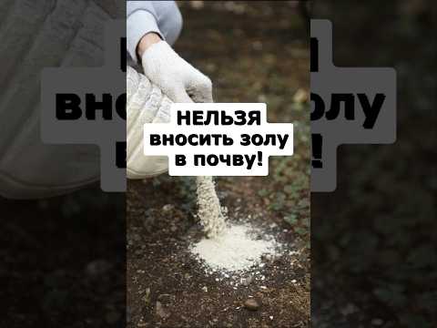 Видео: Не сыпьте золу в почву пока не посмотрите видео! #огород #сад #садоводство #дача #урожай