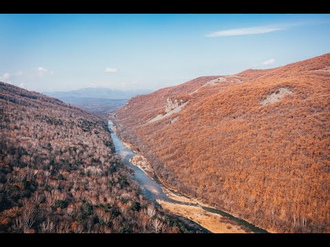 Видео: Ущелье Дарданеллы | Приморский край