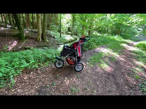 Видео: ТЕСТИРУЕМ НОВУЮ КОЛЯСКУ ДЛЯ СОБАК//ДОЛГАЯ ПРИЯТНАЯ ПРОГУЛКА//ТОНИ И ЛЕО//ВЛОГ