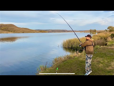 Видео: Рыбалка с папой. Ловля на донки осенью 2025.