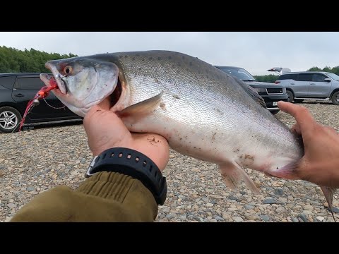 Видео: Обзор приманок на горбушу. Ловля горбуши в Магадане на мухо-джиг.
