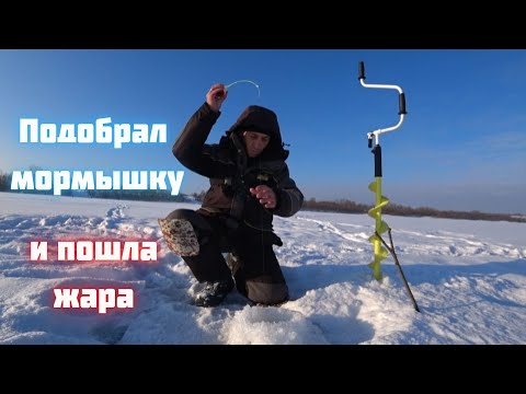 Видео: ПРОБУРИЛ ТРИ ЛУНКИ и как начал ЛОВИТЬ РЫБУ!!! Ловля на безмотылку. РЫБАЛКА 2021-22