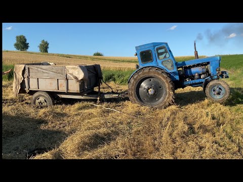 Видео: Молотим пшеницю, ячмінь . Загрузли в полі…
