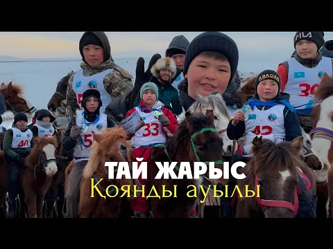 Видео: Тай жарыс Қоянды ауылында өткен 2025ж