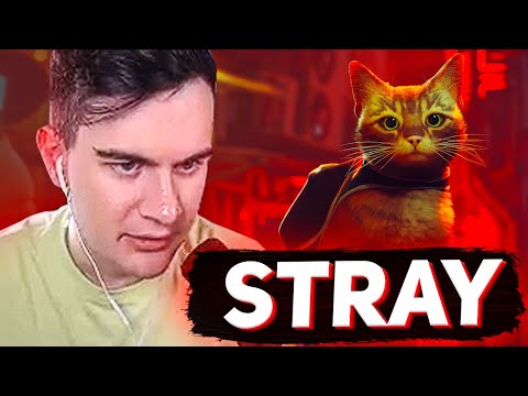 Видео: БРАТИШКИН ПРОХОДИТ STRAY (ИГРА ПРО КОТА)