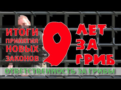Видео: Уголовная и административная ответственность за сбор краснокнижных грибов. Итоги. Михаил Вишневский