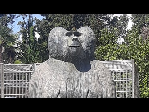 Видео: Абхазия: Страна души (Эпизод 2)