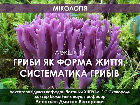 Видео: Мікологія 1. Гриби як форма життя. Систематика грибів