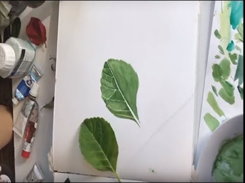Видео: Зеленые листья акварелью