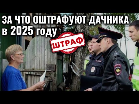 Видео: За что будут ШТРАФОВАТЬ ДАЧНИКОВ в 2025 году