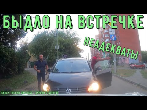Видео: Быдло на встречке #162! Подборка на видеорегистратор!