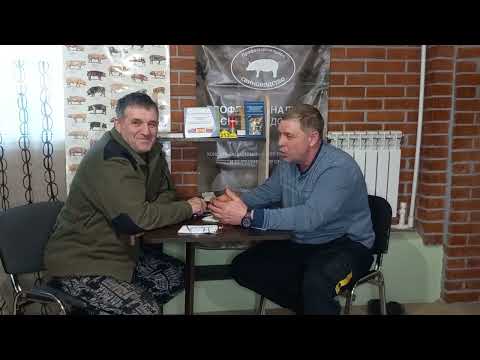 Видео: Свиноферма Алексея Гауса.Беседа с профессионалом.3 серия