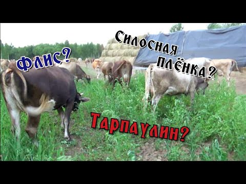 Видео: Укрываем сено на зиму. Какой укрывной выбрать,флис,тарпаулин или силосную пленку?