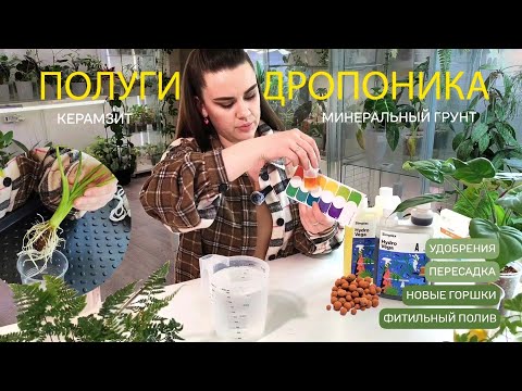 Видео: ПОЛУГИДРОПОНИКА | Удобрения, пересадка, новые горшки, фитильный полив.