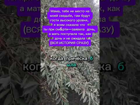 Видео: Мама тебе не место на свадьбе… 