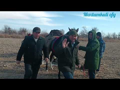 Видео: Каракалпакистан.Турткул.Мискинда Курли туй Атчапар