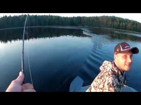 Видео: Рыбалка в июле 2018 года на одном из озер Пряжинского района Карелии