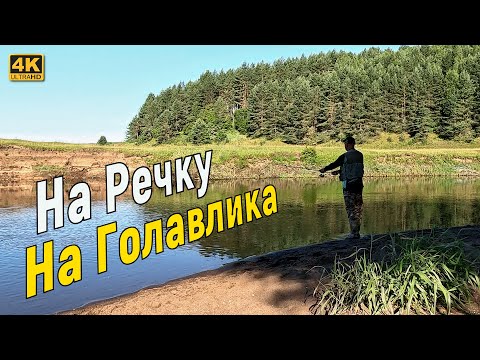 Видео: Голавль на малой реке. Рыбалка в июле 2024