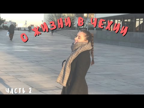 Видео: ОТВЕТЫ НА ВОПРОСЫ| Возможно ли выучить чешский за год, как переехать в Чехию и стоит ли