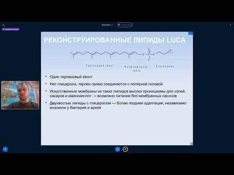 Видео: Михаил Никитин. Лекция 11. Происхождение клеточных мембран и мембранных энергетических систем.