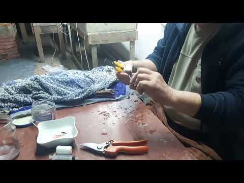 Видео: Как я делаю настольную прививку винограда. Наглядное видио.