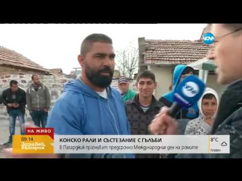 Видео: Конско рали и състезание с гълъби в Пазарджик - Пълен абсурд (06.04.2017г.)