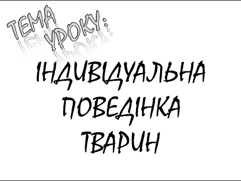 Видео: ІНДИВІДУАЛЬНА ПОВЕДІНКА ТВАРИН