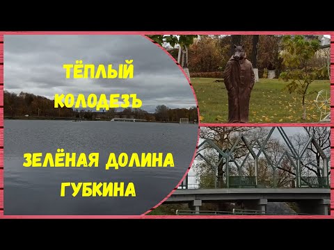 Видео: Как из заросшего ручья сделать Шикарную зону отдыха «Тёплый Колодезь – зелёная долина Губкина»