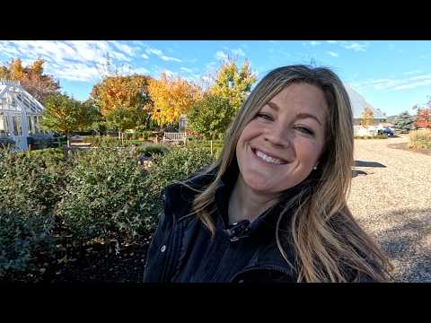 Видео: Перемещение и установка фонтана, посадка луковичных и удаление лишней однолетников! ⛲️🌷🍂