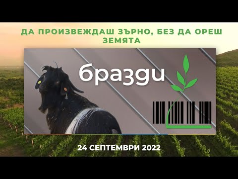 Видео: Да произвеждаш зърно, без да ореш земята, "Бразди" - 24.09.2022 по БНТ